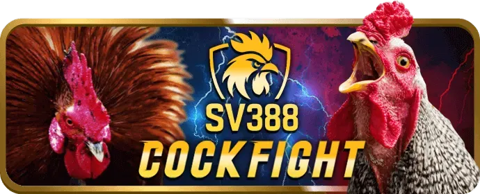 Live Chat hỗ trợ trực tuyến 24/7 của bk88 link
